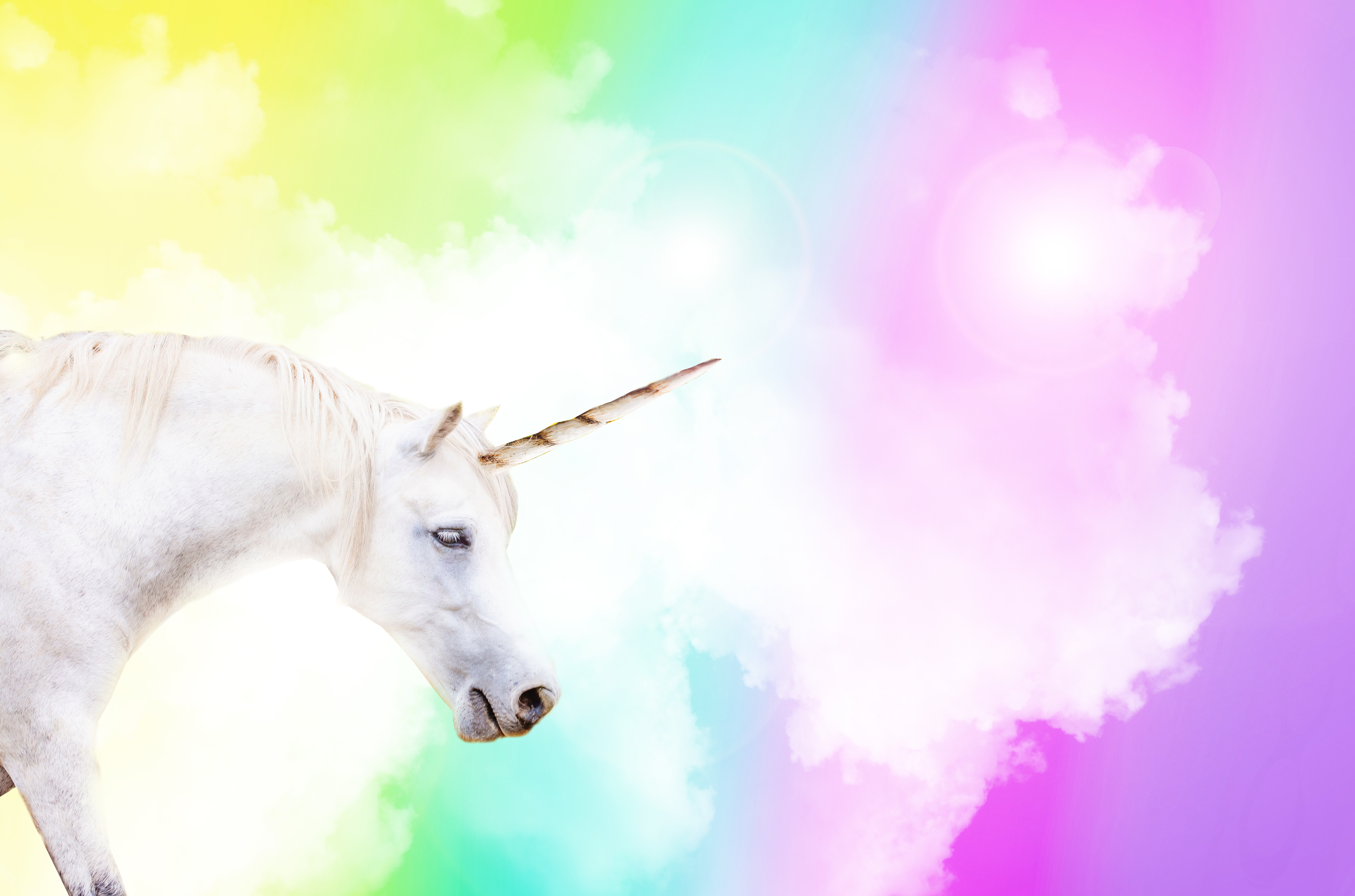 Unicorn